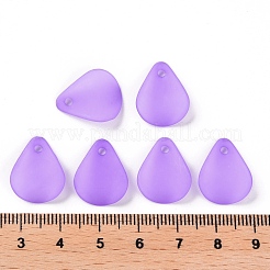 Transparent Frosted Acrylic Pendants&nbsp;MACR-S371-09A-747