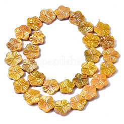 Natural Freshwater Shell Beads Strands&nbsp;SHEL-Q025-002E