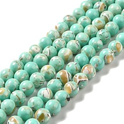 Synthetic Turquoise and Sea Shell Assembled Beads Strands&nbsp;G-D482-01B-08