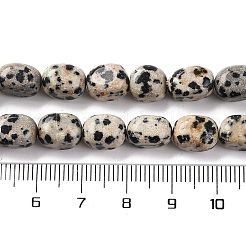 Natural Dalmatian Jasper Beads Strands&nbsp;G-G146-A24-01