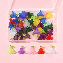 50Pcs Transparent Acrylic Pendants&nbsp;PALLOY-FS00043-05