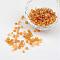 Transparent Rainbow Colours Round Glass Seed Beads, Goldenrod, 6/0, 4mm, Hole:1.5mm, about 495pcs/50g