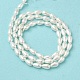 Electroplate Shell Pearl Beads Strands&nbsp;BSHE-G010-4x6mm-01-3