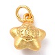 Brass Charms&nbsp;ZIRC-I054-29-2