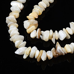 Natural Freshwater Shell Beads Strands&nbsp;SHEL-S278-070G