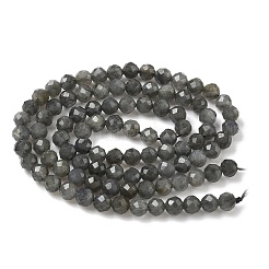 Natural Labradorite Beads Strands&nbsp;G-L622-C03-4mm