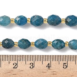 Natural Apatite Beads Strands&nbsp;G-F809-A34-01