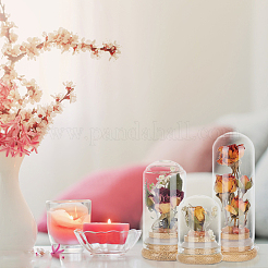 Glass Dome Cover&nbsp;DJEW-WH0034-77A