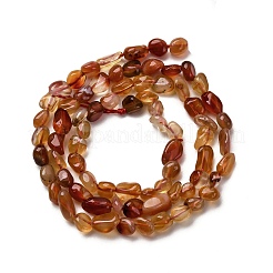 Natural Red Agate Beads Strands&nbsp;G-I389-A37-01A