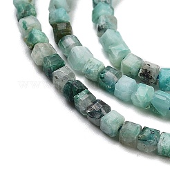 Natural Chrysocolla Beads Strands&nbsp;G-H042-B29-01