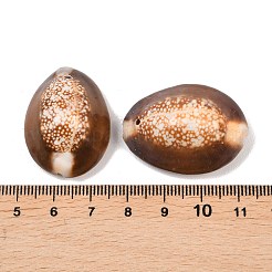 ナチュラルシェル楕円形ビーズ  ペルー  25~35x17~26x12~18mm  穴：1~1.5mm&nbsp;X-BSHE-O007-44