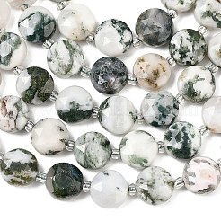 Natural Tree Agate Beads Strands&nbsp;G-F812-C05-01