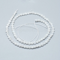Natural Rainbow Moonstone Beads Strands&nbsp;G-D0003-A49