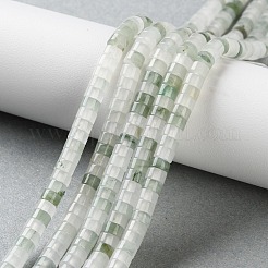 Natural Tianshan Cui Quartzite Beads Strands&nbsp;G-H230-65