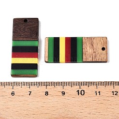 ジャマイカカラーエポキシ樹脂とクルミ材のペンダント  幾何学的なチャーム  長方形  38x16x3.5mm  穴：2mm&nbsp;RESI-N039-122K