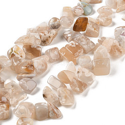 Natural Cherry Blossom Agate Beads Strands&nbsp;G-NH0010-F02-01
