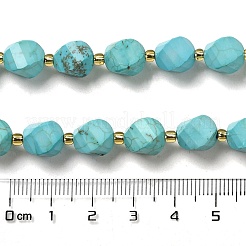 Dyed Natural Howlite Beads Strands&nbsp;G-G023-B01-01B