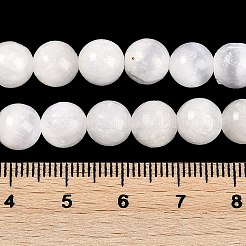 Natural Selenite Beads Strands&nbsp;X-G-G167-A02-01