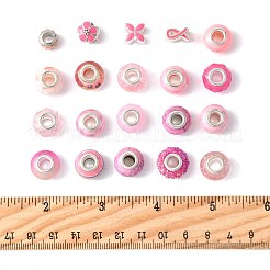 40個 20スタイル 樹脂&ガラス ヨーロピアンビーズ  大孔ビーズセット  銀色メッキの金属コア付き  混合図形  ピンク  13~14x8~9.5mm  穴：4~6mm  2個/スタイル&nbsp;RPDL-FS0001-04