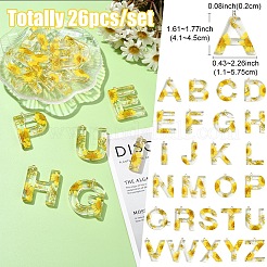 26Pcs 26 Styles Transparent Epoxy Resin Pendants&nbsp;CRES-YW0002-28L