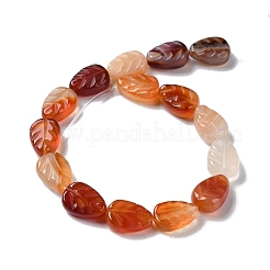 天然石赤瑪瑙ビーズ連売り  葉  14~14.5x10~10.5x5.5~6mm  穴：1.2mm  約15個/連  8.43''（21.4センチメートル）&nbsp;G-M418-A05-01
