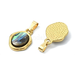 Natural Paua Shell Pendants&nbsp;PALLOY-JF05608