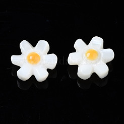 Natural Freshwater Shell Beads&nbsp;SHEL-S278-032
