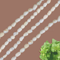 2 Starnds Natural Cultured Freshwater Pearl Beads Strands&nbsp;PEAR-LT0001-14