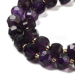 Natural Amethyst Beads Strands&nbsp;G-P508-A09-01