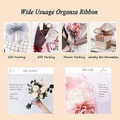 Organza Ribbon&nbsp;ORIB-BC0001-02L