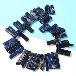 Natural Sodalite Beads Strands&nbsp;G-L551B-16