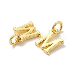 Brass Pendants&nbsp;KK-M273-03G-M