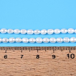 Natural Cultured Freshwater Pearl Beads Strands&nbsp;PEAR-T006-29