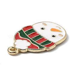 Alloy Enamel Pendants&nbsp;X-ENAM-Z001-02G-B