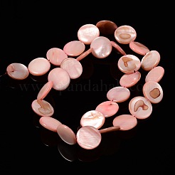 Natural Shell Beads Strands&nbsp;X-PBB251Y-6