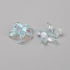 Transparent Acrylic Beads&nbsp;OACR-CJC0013-05D