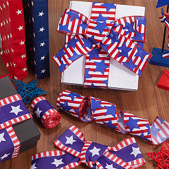 2Rolls 2 Colors Independence Day Themes Polyester Ribbon&nbsp;OCOR-CY0001-75B