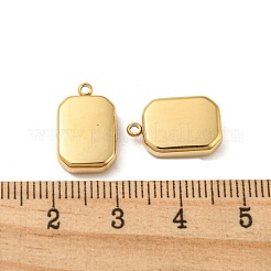 304 Stainless Steel Charms&nbsp;STAS-L022-185G