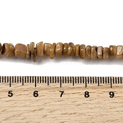 Natural Freshwater Shell Beads&nbsp;SHEL-B003-01D