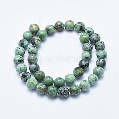 Natural African Turquoise(Jasper) Beads Strands&nbsp;G-E444-47-10mm