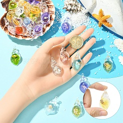 30 個の蓄光透明樹脂ペンダント  巻き貝  暗闇で光る  ミックスカラー  39x19.5x14.5mm  穴：1.6mm&nbsp;RESI-YW0004-64