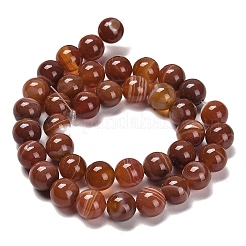 Natural Striped Agate/Banded Agate Beads Strands&nbsp;G-B079-A05-03B