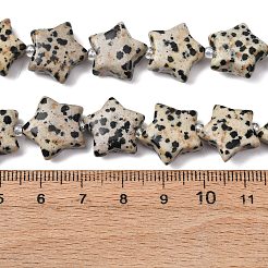 天然石ダルメシアンジャスパービーズ連売り  スター  シードビーズで  15~15.5x16~16.5x6.5~7mm  穴：1.4mm  約25個/連  15.75''~16.14''（40~41センチメートル）&nbsp;G-K359-E12
