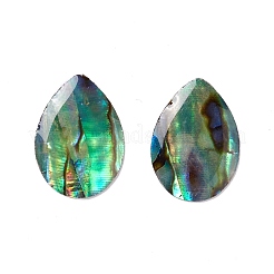 Paua Shell Cabochons&nbsp;SSHEL-C008-11