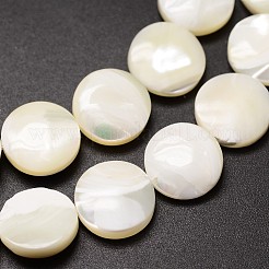 Natural Trochid Shell/Trochus Shell Beads Strands&nbsp;SSHEL-K016-03B