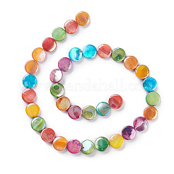 Natural Freshwater Shell Beads Strands&nbsp;BSHE-E028-01