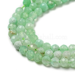 Natural Chrysoprase Beads Strands&nbsp;G-A097-A16-03