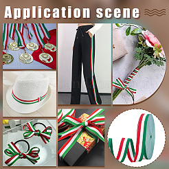 Polyester Braid Ribbon&nbsp;OCOR-WH0816-012A-1