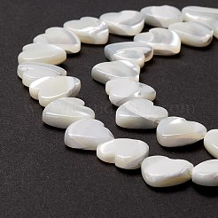Natural Trochid Shell/Trochus Shell Beads&nbsp;SSHEL-O001-27B