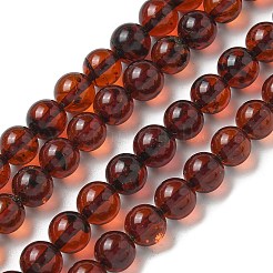 Natural Amber Beads Strands&nbsp;G-K387-D01-01